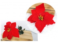 Kwiat pojedynczy POINSECJA, gwiazda betlejemska wys. 65 cm (kwiat 20 cm) CZERWONA welurowa