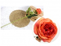 Kwiat pojedynczy RÓŻA PODSUSZANA wys. 54 cm (główka 10 cm) POMARAŃCZOWA