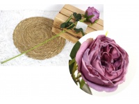 Kwiat pojedynczy RÓŻA PODSUSZANA wys. 54 cm (główka 10 cm) FIOLETOWA