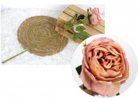 Kwiat pojedynczy RÓŻA PODSUSZANA wys. 54 cm (główka 10 cm) PUDROWA