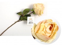 Kwiat pojedynczy RÓŻA podsuszana wys. 42 cm (główka 6,5x7 cm) ECRU