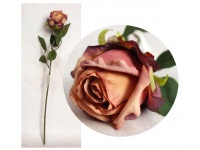 Kwiat pojedynczy RÓŻA wys. 51 cm kwiat 8 cm RÓŻOWO-BRZOSKWINOWA ciemna