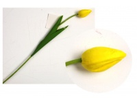 z Kwiat pojedynczy TULIPAN piankowy wys. 47 cm (kwiat 4,5x2,5 cm) ŻÓŁTY