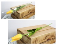 Kwiat pojedynczy TULIPAN w folii łodyga 52 cm ŻÓŁTY