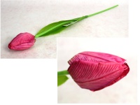 Kwiat pojedynczy TULIPAN wys. 50 cm (kwiat 6,5x4 cm) RÓŻOWY