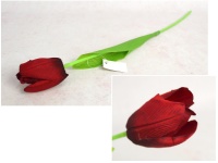 Kwiat pojedynczy TULIPAN wys. 50 cm (kwiat 6,5x4 cm) CZERWONY