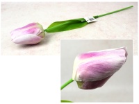 Kwiat TULIPAN wys. 54 cm (kwiat 9x5 cm) jasno RÓŻOWY
