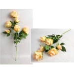 Kliknij aby zobaczyć zdjęcie w oryginalnej wielkości