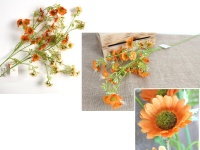 Kwiat STOKROTKA wys. 84 cm (kwiat 4x1 cm) - mix kolor