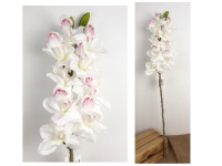 Kwiat STORCZYK Cymbidium wys. 87 cm (kwiat 10,5x6 cm + 2 pąki) BIAŁY