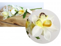 Kwiat STORCZYK , ORCHIDEA wys. 38 cm (3 kwiaty 12 cm) ECRU Z ŻÓŁTYM ŚRODKIEM