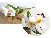 Kwiat STORCZYK , ORCHIDEA wys. 38 cm (3 kwiaty 12 cm) BIAŁY z nakrapianym środkiem