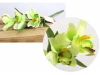 Kwiat STORCZYK , ORCHIDEA wys. 38 cm (3 kwiaty 12 cm) jasno ZIELONY