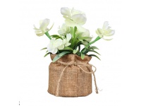 Kwiat STORCZYK w jutowej doniczce wys. 16 cm (kwiat 4,5x2 cm) ŚMIETANOWY - 1 szt