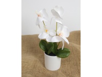 Kwiat STORCZYK w plastikowej doniczce wys. 26 cm (4 główki silikonowe 9x5 cm) BIAŁY