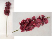 Kwiat STORCZYK wys. 100 cm (9 kwiatów 9,5-11 cm + pąki) BORDOWY