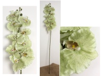 Kwiat STORCZYK wys. 103 cm (9 kwiatów 11,5x9 cm) ZIELONY