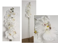 Kwiat STORCZYK wys. 103 cm (9 kwiatów 11,5x9 cm) BIAŁY