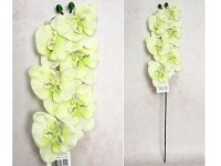 Kwiat STORCZYK wys. 65 cm (6 kwiatów 11 cm) jasno ZIELONY