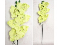 Kwiat STORCZYK wys. 65 cm (6 kwiatów 11 cm) LIMONKOWY