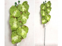 Kwiat STORCZYK wys. 65 cm (6 kwiatów 11 cm) ZIELONY ciemny