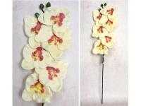 Kwiat STORCZYK wys. 65 cm (6 kwiatów 11 cm) ECRU różowy środek