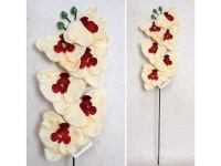 Kwiat STORCZYK wys. 65 cm (6 kwiatów 11 cm) BRZOSKWINIOWY czerwony środek