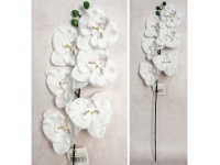 Kwiat STORCZYK wys. 65 cm (6 kwiatów 11 cm) BIAŁY