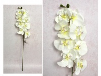 Kwiat STORCZYK wys. 68 cm (8 kwiatów 7,5-10 cm) BIAŁY nakrapiany