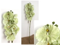 Kwiat STORCZYK wys. 71 cm (7 kwiatów 12-10 cm) ZIELONY