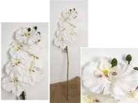 Kwiat STORCZYK wys. 71 cm (7 kwiatów 12-10 cm) BIAŁY