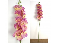 Kwiat STORCZYK wys. 95 cm (9 kwiatów 10-11,5 cm) FIOLETOWY z żółtym środkiem