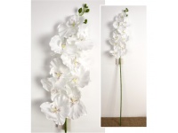 Kwiat STORCZYK wys. 95 cm (9 kwiatów 10-11,5 cm) BIAŁY