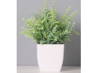 Kwiat TRAWA PSZENICZNA w plastikowej doniczce wys. 18 cm - 1 szt