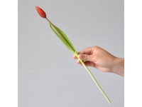 Kwiat TULIPAN gumowany główka kwiatowa 2x4,5 cm łodyga 40 cm CZERWONY