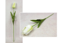 Kwiat TULIPAN Papuzi wys. 53 cm (kwiat 8x5 cm) BIAŁO-LIMONKOWY