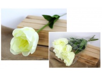 z Kwiat TULIPAN rozwinięty wys. 58 cm (główka 7x7 cm) BIAŁY