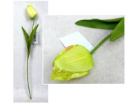 Kwiat TULIPAN wys. 49 cm (kwiat 7,5x4 cm) LIMONKOWY