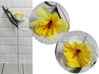 ŻONKIL łodyga 40 cm (biały, żółty) - 1 szt