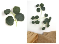 Liść 1-ramienny, pik EUKALIPTUS wys. 50 cm ZIELONO-SZARY