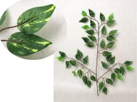 Liść 3-ramienny FIKUS, BENJAMIN 52 cm ciemno zielony - 1 szt