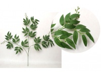 Liść 3-ramienny RUSKUS 65 cm  zielony ciemny - 1 szt