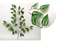 Liść 3-ramienny FIKUS, BENJAMIN 60 cm prążkowany - 1 szt