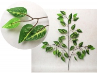 Liść 3-ramienny FIKUS, BENJAMIN 60 cm z jasnym środkiem i jasnymi żebrami - 1 szt