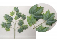 Liść gruby silikon Premium 5-ramienny KLON 75 cm ZIELONO-SZARY cieniowany - 1 szt