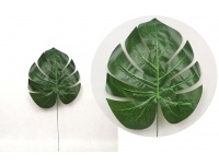 Liść MONSTERA 52 cm liść 30x28 cm ZIELONY ciemny