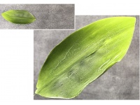 Liść piankowy pojedynczy na druciku 50x11,5 cm