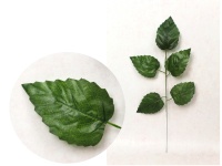 Liść 1-ramienny OLCHA 55 cm (5 liści) zielony - 1 szt