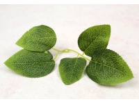 Liść RÓŻA z widocznymi żebrami gałązka 5 liści 22 cm (liść 7,5x4,5 cm; 6x4 cm) ZIELONY z żółtym cieniowaniem - 10 szt