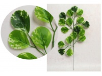 Liść silikonowy 1-ramienny EUKALIPTUS, PIENIĄŻEK wys. 48 cm zielony z białymi plamkami- 1 szt